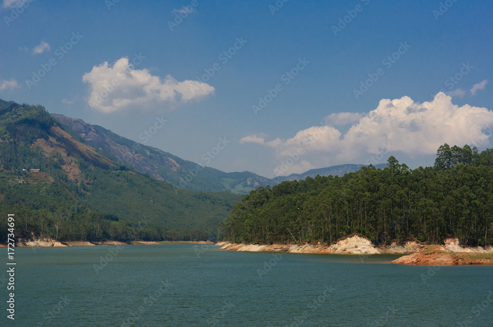 View of a mountain lake near Munnar, Kerala, India, Asia