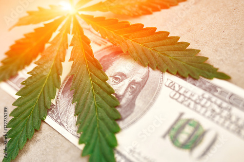 Money With Marijuana Leaf Close Up High Quality. Cannabis With Money Stock Photo