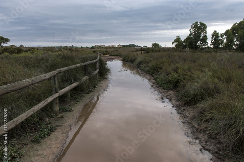 Natural park of laguna de la Mata