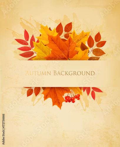 Vintage nature autumn background with colorful leaves Vector