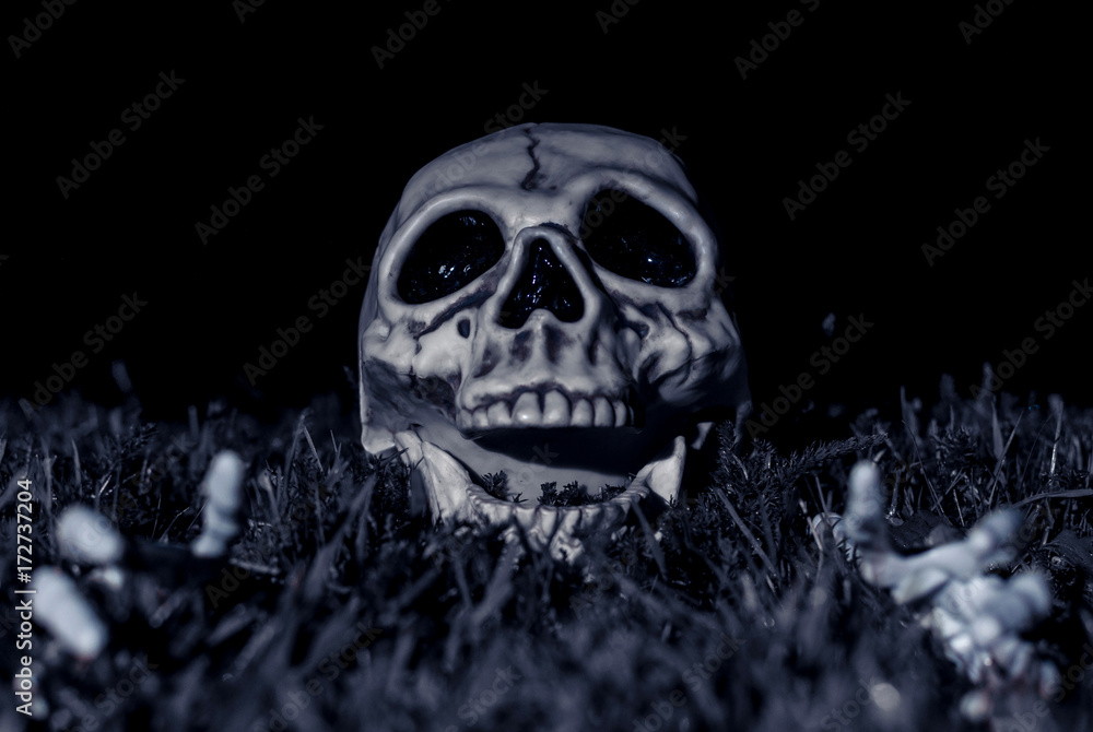 Halloween Spooky Skeleton Attack Stock Photo Adobe Stock