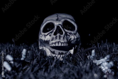 Halloween Spooky Skeleton Attack © Shawn