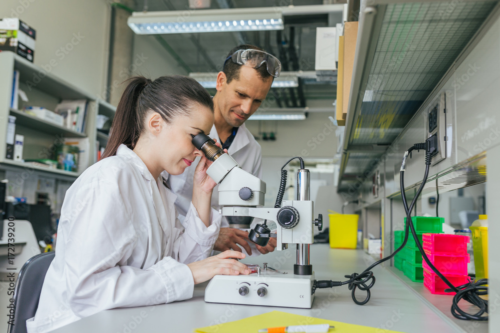 Young Researchers Working in a Professional Laboratory Young Researchers Working in a Professional Laboratory