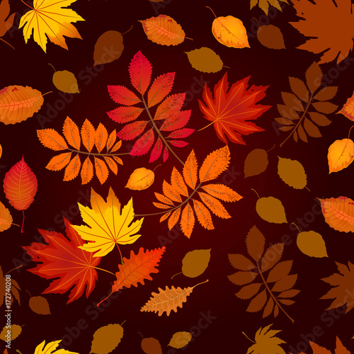 seamless pattern composed from colorful autumn leaves on dark background