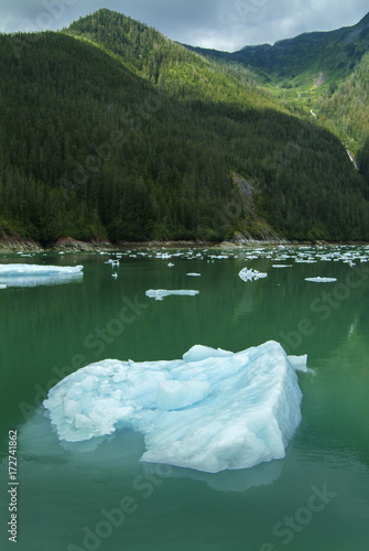 The LeConte Glacier in Southeast Alaska. The glacier is a popular tourist destination, with operators from nearby Petersburg and Wrangell, Alaska, running excursions to its calving face. photo