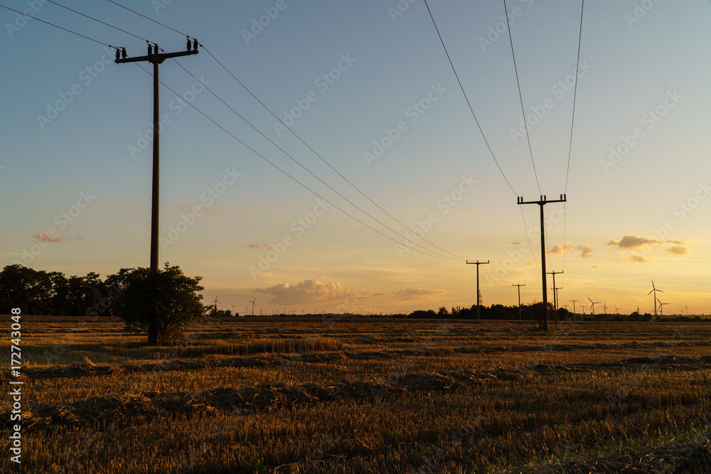 geerntetes Getreidefeld bei Sonnenuntergang
