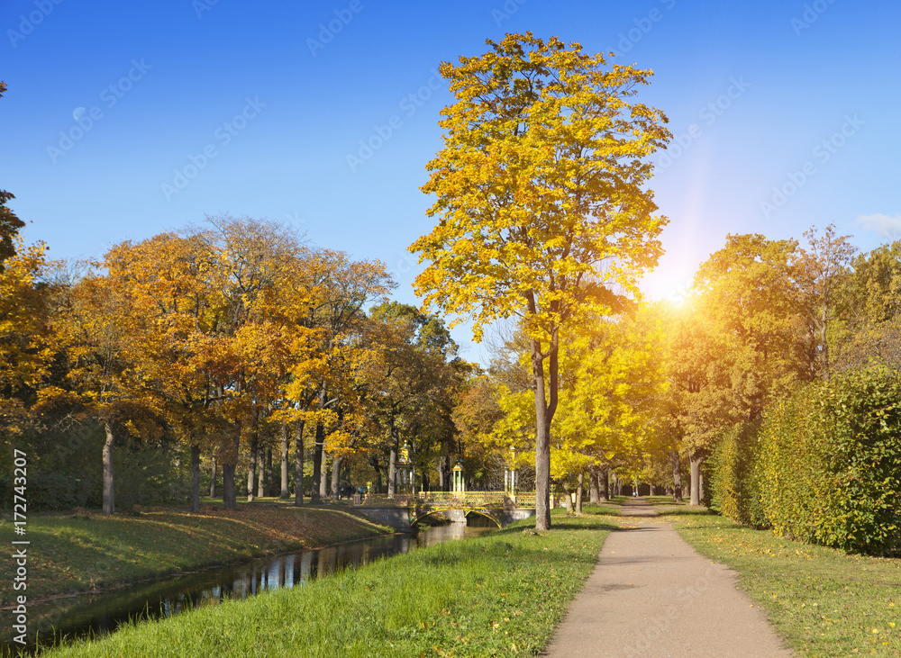 Naklejka premium the bridge over the river and sunshine through crowns, Russia