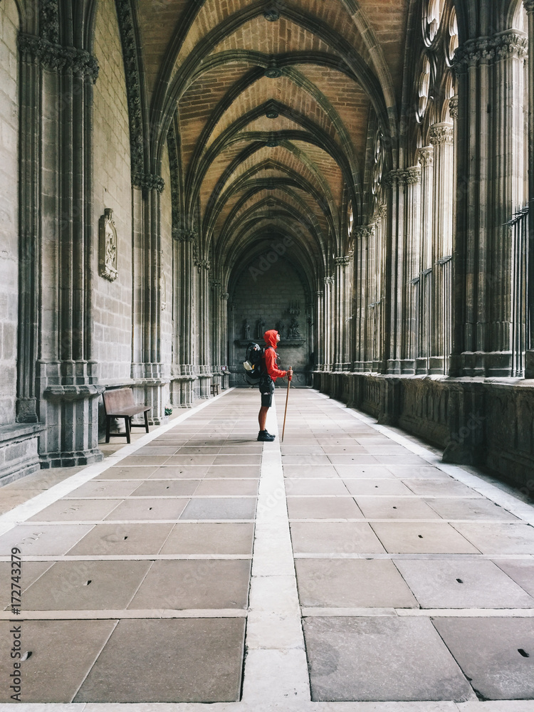 Pilgrim contemplating a cathedral on the Way of Saint James