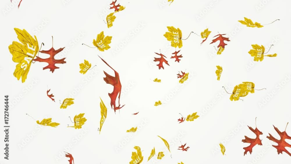 Flying colorful red oak and yellow maple leaves with sale writing. Autumn, fall business concept. Isolated elements on white background. Slow motion, close-up HD realistic 3D animation. Flying colorful red oak and yellow maple leaves with sale writing. Autumn, fall business concept. Isolated elements on white background. Slow motion, close-up HD realistic 3D animation.