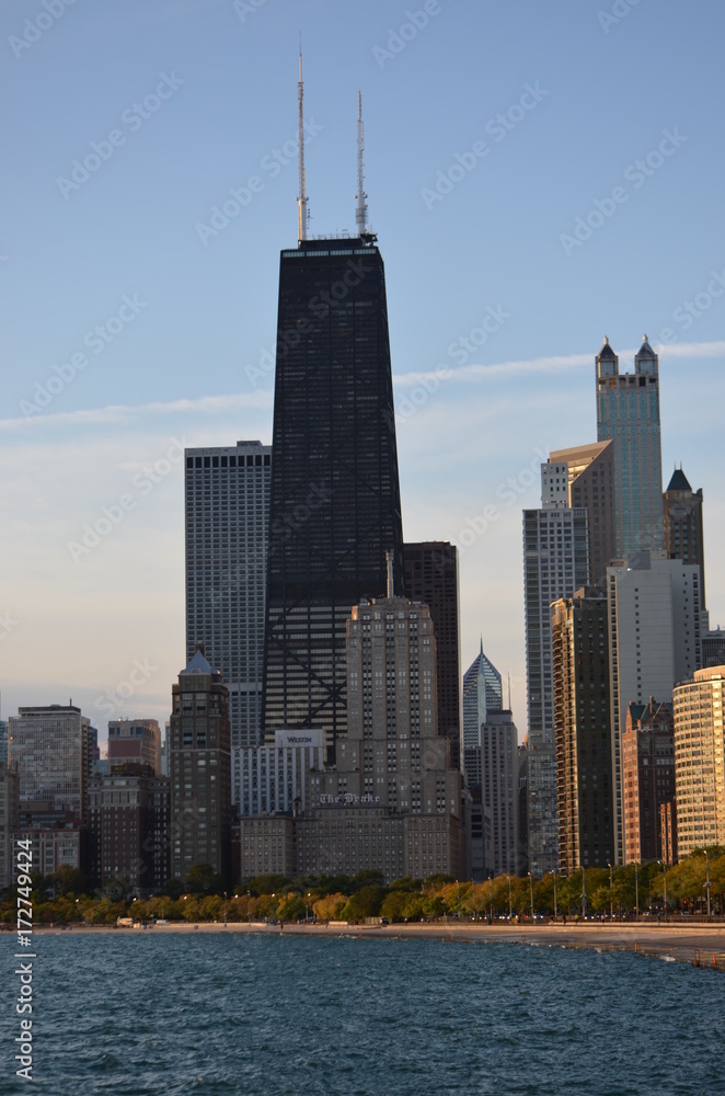 Obraz premium Chicago downtown from northside