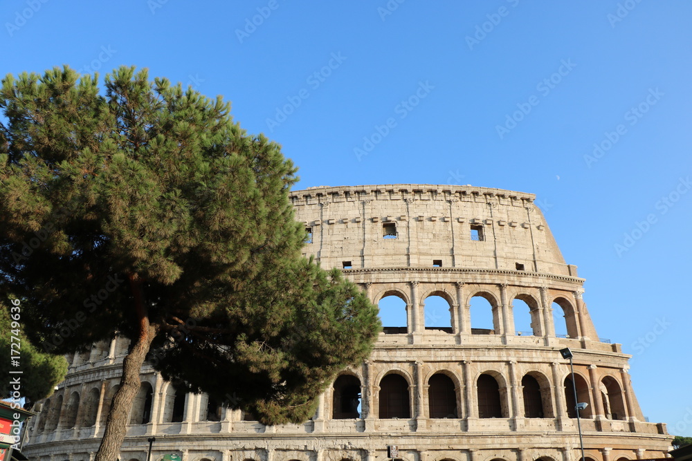 Obraz premium Colosseo Roma Italia