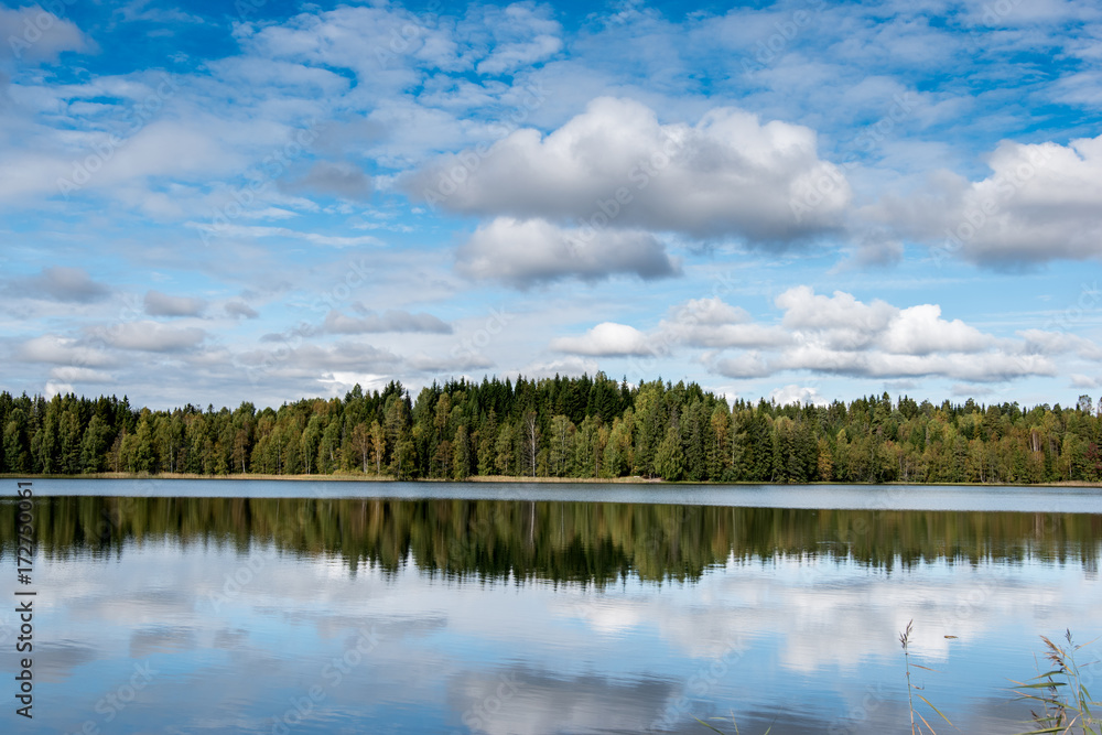 forest reflection in a lake with blue sky and cotton candy clouds in autumn