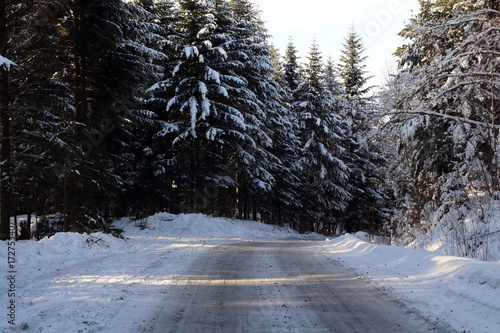 Winter country road with  forest on the side