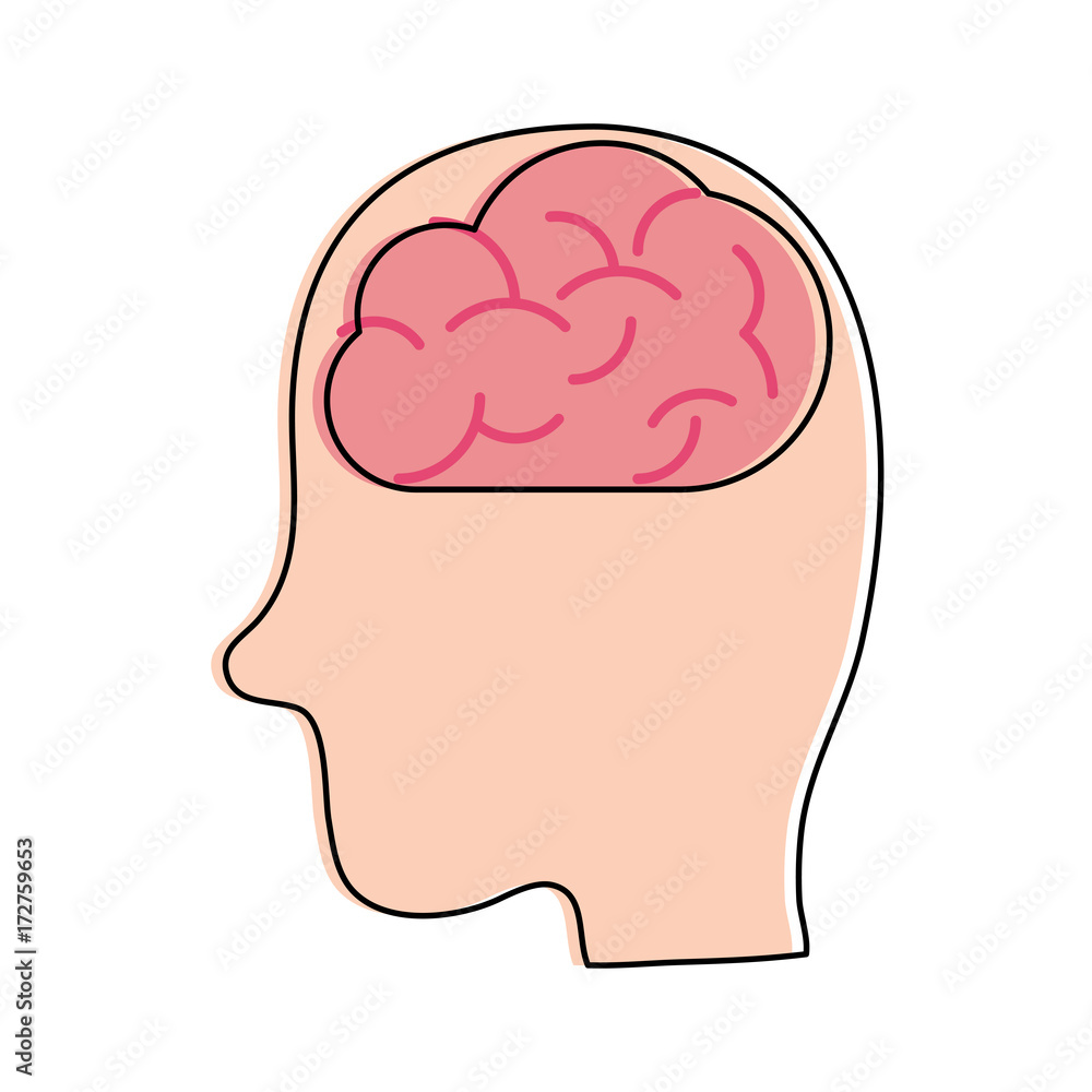 human brain inside head sideview icon image vector illustration design 