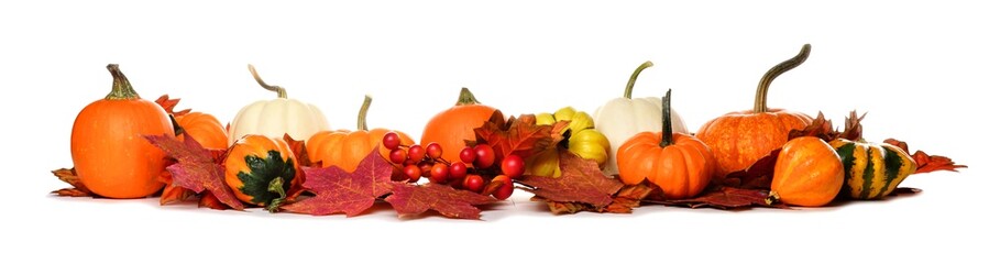 Long border of pumpkins, gourds and red fall leaves isolated on a white background