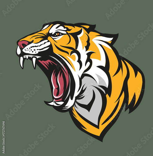 Fototapeta Naklejka Na Ścianę i Meble -  Vector illustration, tiger head symbol
