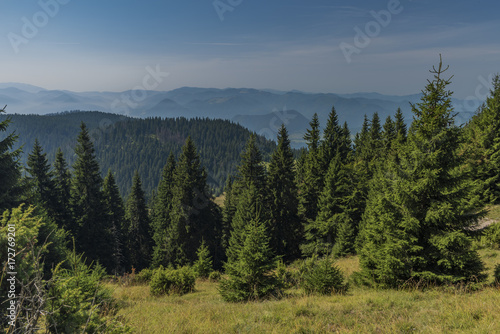Forests under Velky Choc hill in north Slovakia in summer