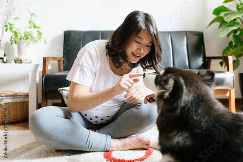 Pregnant young woman with her Alaskan malamute photo