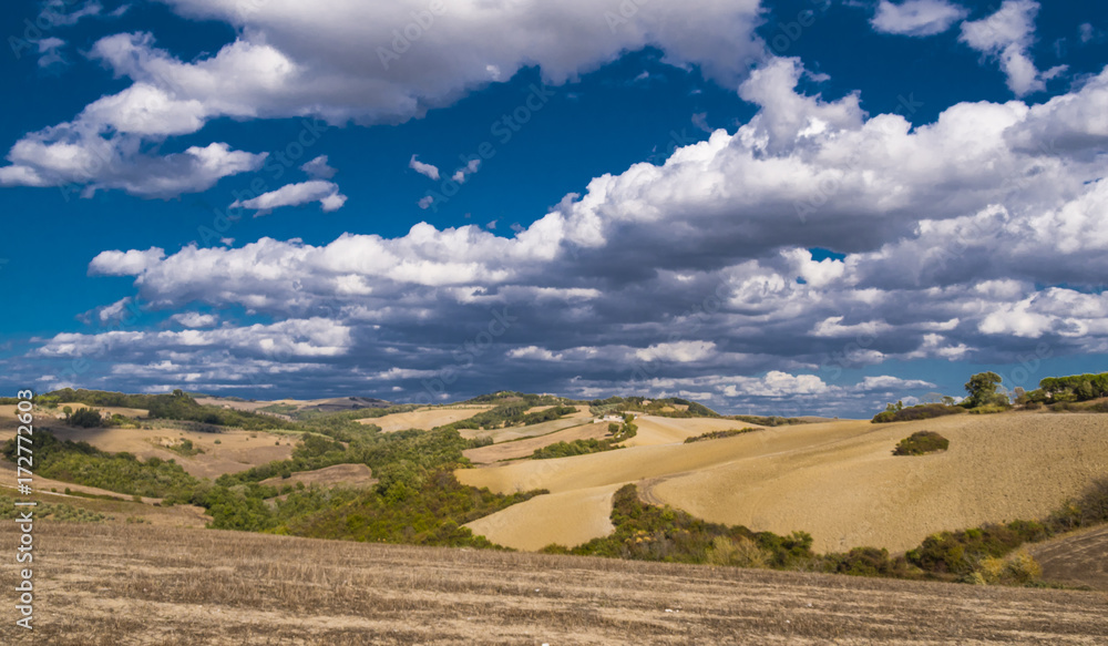Fototapeta premium A beautiful day in Tuscany Italy with blue sky