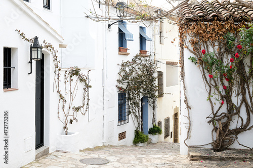White houses of a mediterranean villageCalella de Palafrugell photo