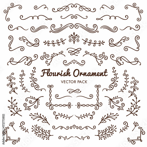 Flourish ornaments calligraphic design elements vector set illustration photo