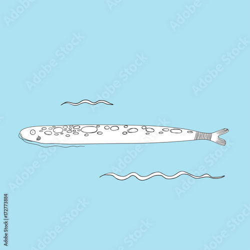 Vector of underwater creatures