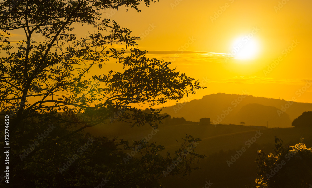 A summer in Italy - the wonderful Tuscany