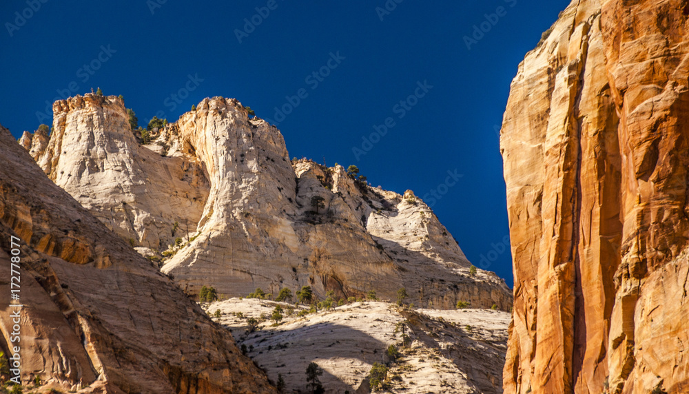 Sandstone Cliffs of Lady Mountain in Zion Canyon