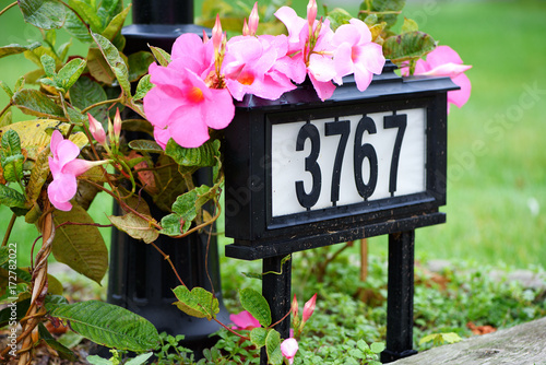A house number on the front yard with flowers in neighborhood