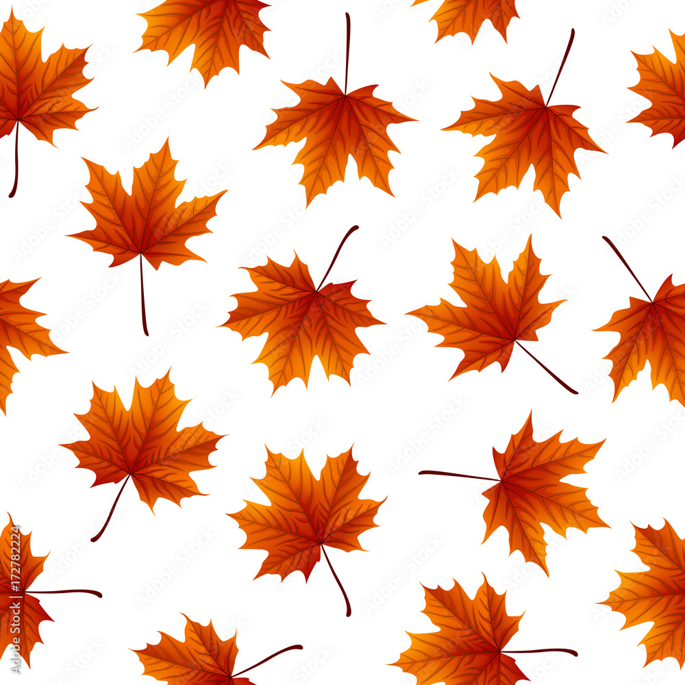Fototapeta premium Red maple leaves isolated on white background