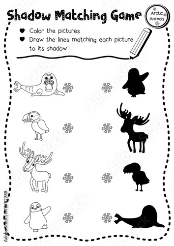 Shadow matching game of arctic animals for preschool kids activity worksheet layout in A4 coloring printable version. Vector Illustration.