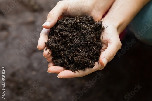 Cropped hands of female gardener holding soil
