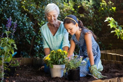 Wallpaper Mural Grandmother and granddaughter planting various flower pots Torontodigital.ca