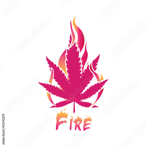 fire flower logo