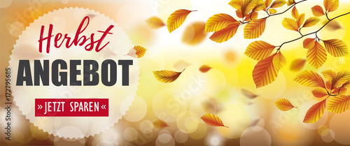 Herbstangebot Headliner mit Buchenästen im Herbst