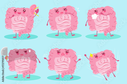 cute cartoon intestine