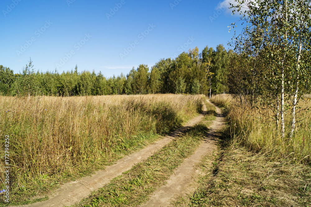 Autumn landscape in rural terrain