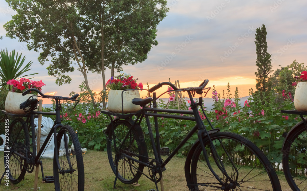 Bicycle decorated with flowers at sunset.
