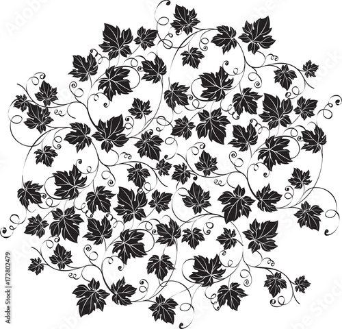 Elegant richly decorated ornate black grape leaves on white background.