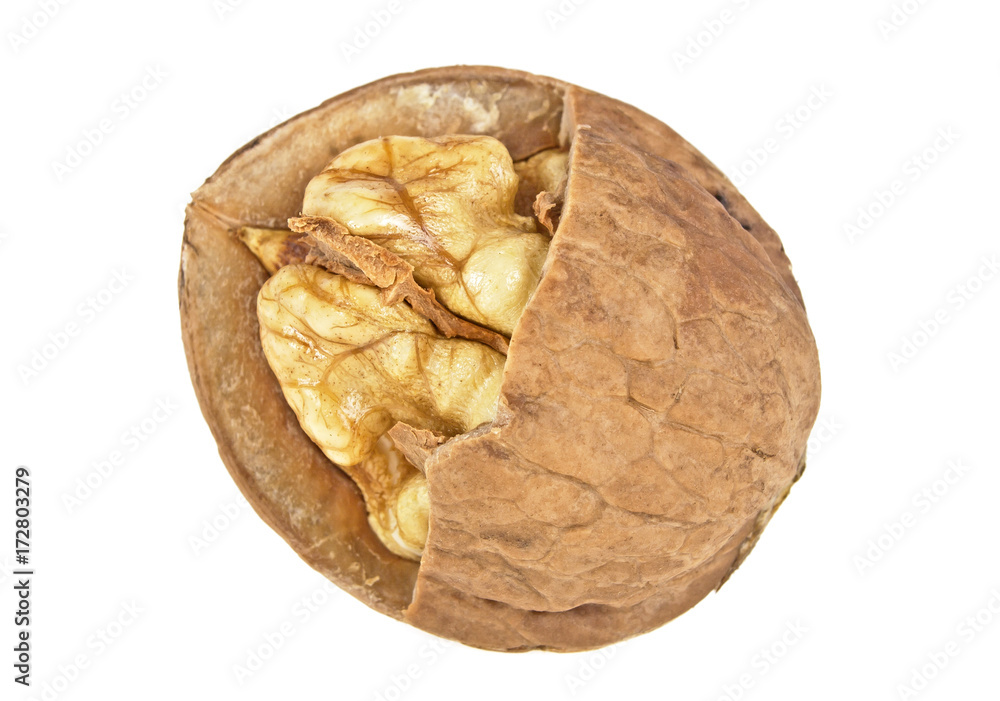 Young walnut isolated on a white background Young walnut isolated on a white background