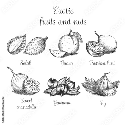 Hand drawn exotic fruits and nuts