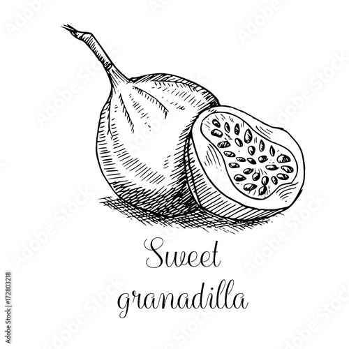 Hand drawn granadilla photo