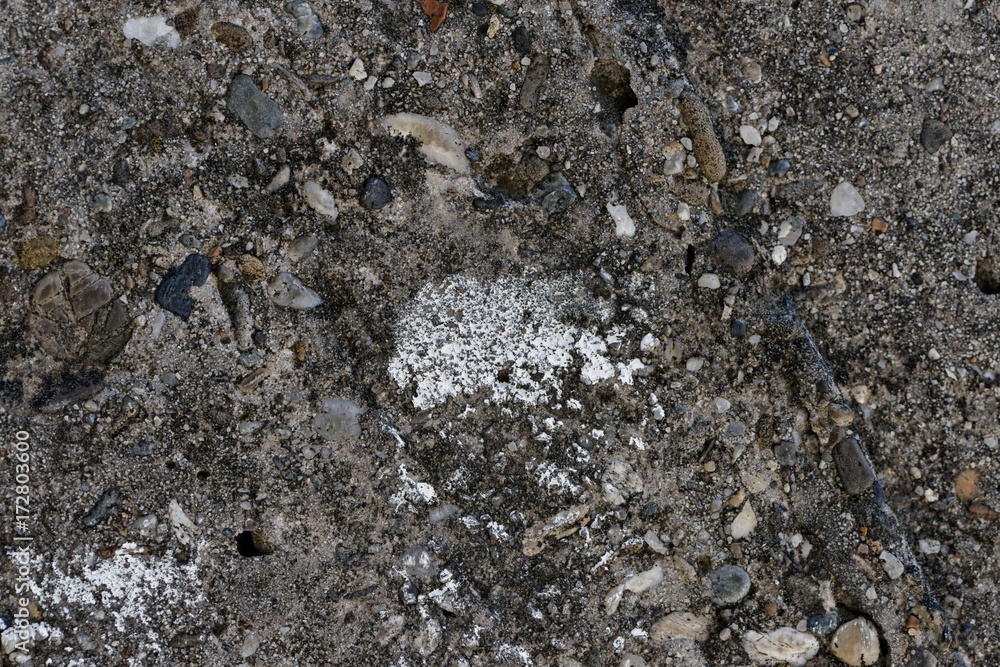 Asphalt Background Asphalt Background