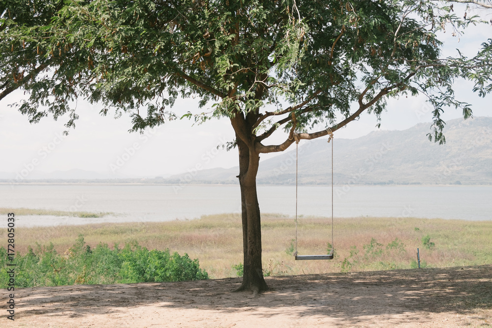 Fototapeta premium big tree with swing on green field in thailand
