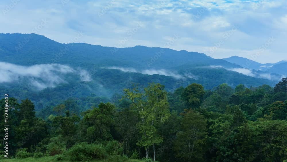Morning Mist/Fog Rising Over a Green Valley 4k Timelapse Morning Mist/Fog Rising Over a Green Valley 4k Timelapse