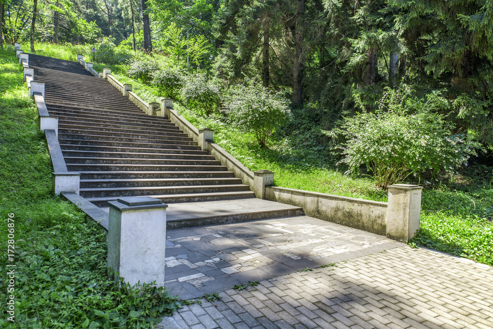 Staircase the big international park.