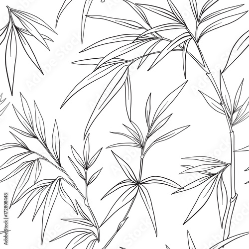 Seamless pattern with bamboo in Japanese style. Outline drawing 