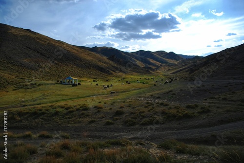Vallée avec troupeau de yacks