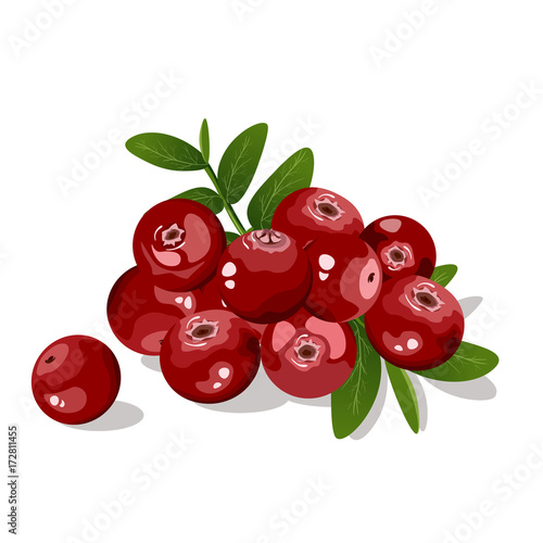 cranberry 