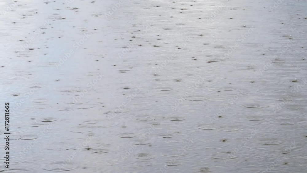 Middel Heavy Rain on Lake Amager Fælled - Amager, Copenhagen explainer video background with copy space for text or image Middel Heavy Rain on Lake Amager Fælled - Amager, Copenhagen explainer video background with copy space for text or image